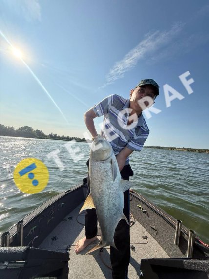 Толстолобик водится возле острова Марахтет