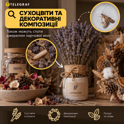 Сухоцвіти та декоративні композиції. Інфографіка: ШІ "Телеграф"