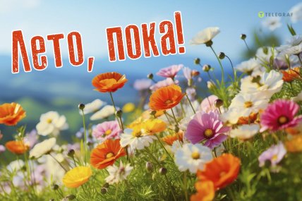 открытка лето пока