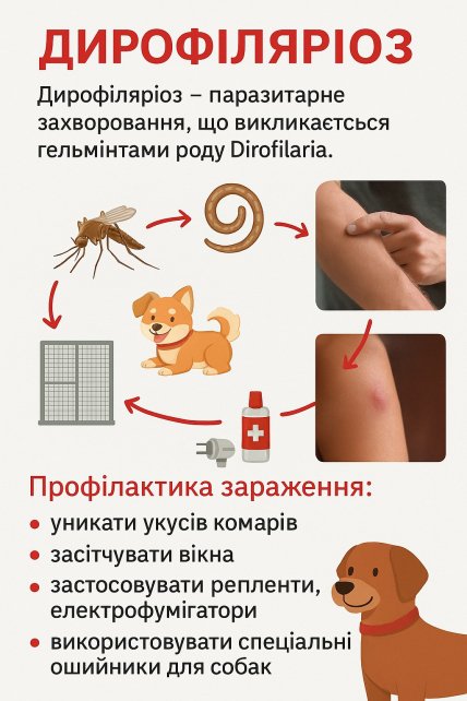 Профилактика дирофиляриоза
