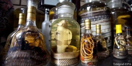 Семь бокалов вина избавят от депрессии