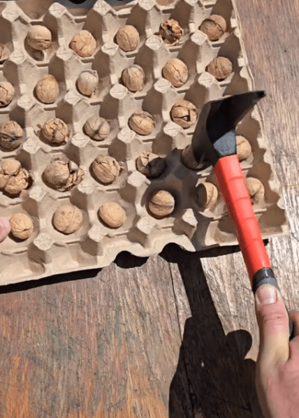 Лайфхак по чистке орехов