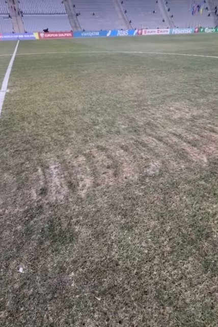 Поле в Баку перед матчем Азербайджан - Украина