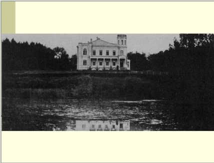 Дворец Залевской в Дзеленцах старые фото