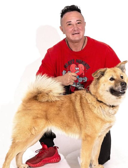 Куркурина помощь бездомным животным