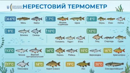 Нерестовый термометр от Госрыбагентства