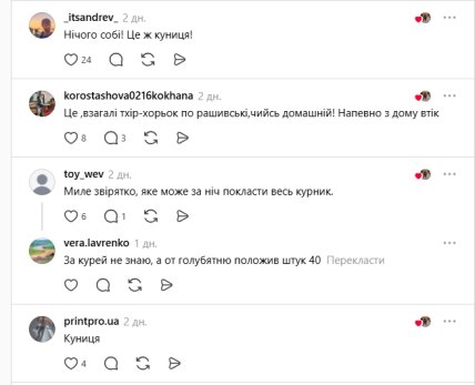 Коментарі користувачів