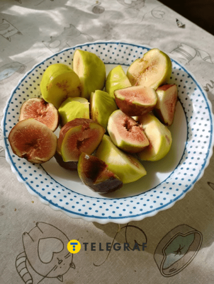 Желтый узбекский инжир можно выращивать в Украине