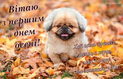 Перший день осені 2025