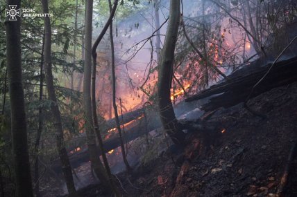 Пожар охватил 75 га леса