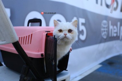 Центр в Запорожье для внутренне перемещенных лиц