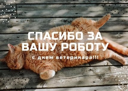 открытка спасибо за вашу роботу с днем ветеринара