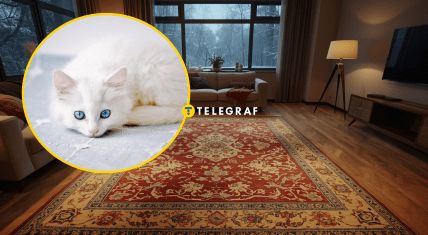 Килим виробництва СРСР на підлозі