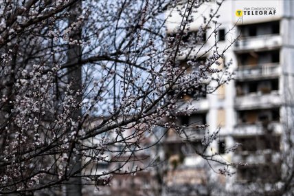 Салтівка, Харьків