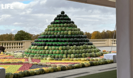 Пирамида из арбузов для Путина
