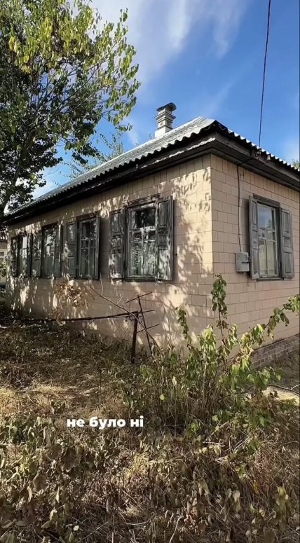 Кустарники во дворе