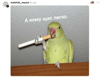 Мемы о собаке с заблюренной мордой