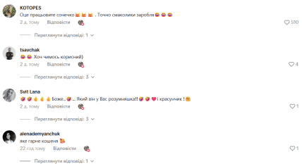 Що пишуть українці під відео