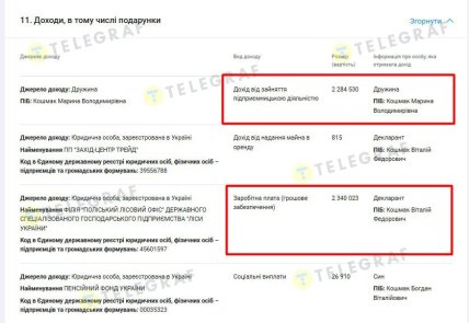 Информация о доходах семьи Кошмак. Данные YouControl