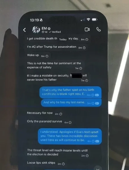 Ешлі Сент Клер і Ілон Маск