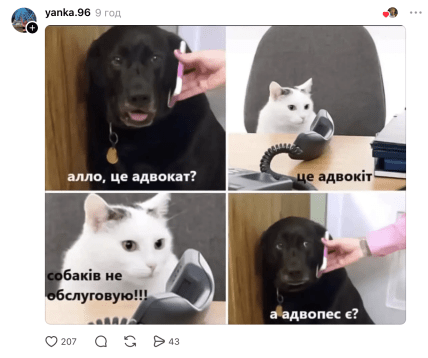 Мемы о собаке с заблюренной мордой