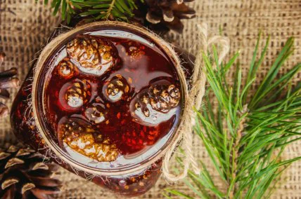 В этом году точно: готовим варенье из сосновых шишек