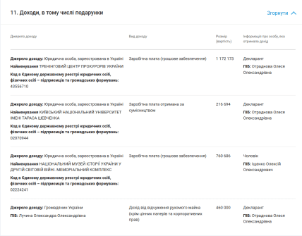 Декларации Олеси Отрадновой