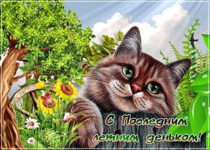 с последним днем лета 2025