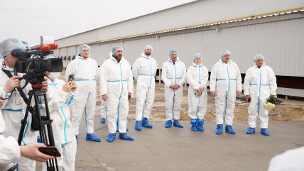 Представители государства