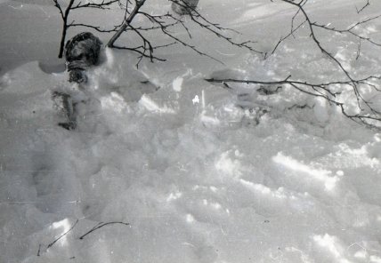 Ігор Дятлов