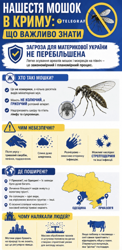 Что нужно знать о нашествии мошек