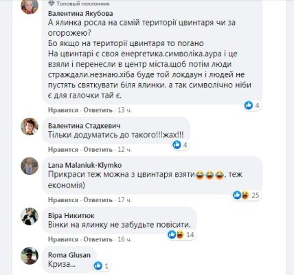 Ель в Дубно