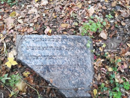 Залишки надгробків в Київському ботсаду