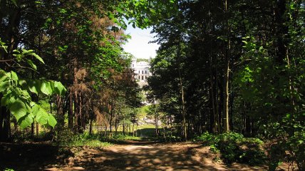 Парк на территории "Сахарного замка"