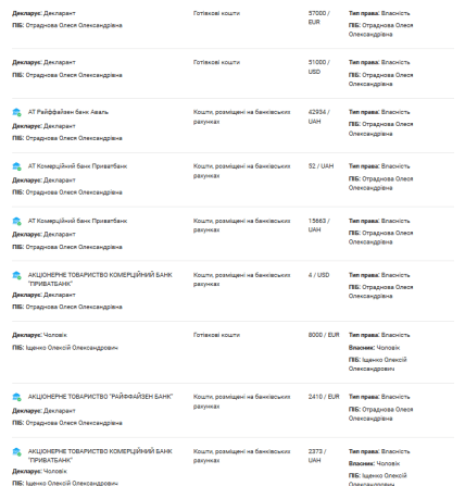Декларации Олеси Отрадновой