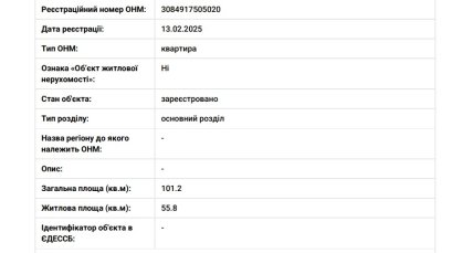 Продан став власником квартири площею 101,2 кв. м. Скриншот з реєстру