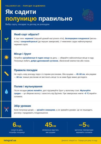 Як садити полуницю