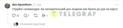 Вогняна саламандра виділяє захисний секрет, тому торкатися її не варто