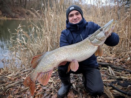 Щука на 4-5 кг на річці Сіверський Донець