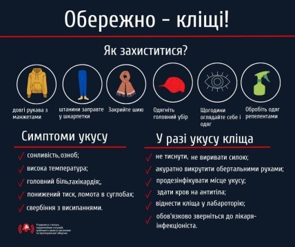 Симптоми та що робити при укусі кліща