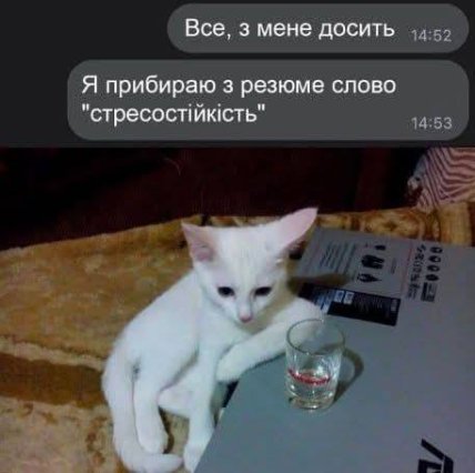 Кот со рюмкой я убираю из резюме стрессоустойчивость