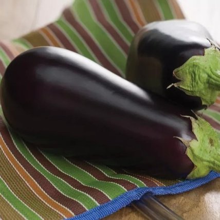 Баклажан "Найт Леди"