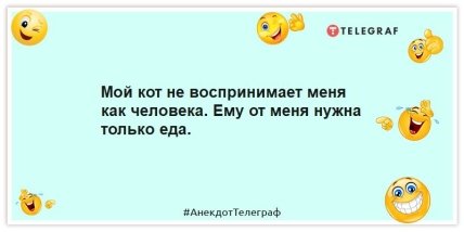 Анекдот про кота