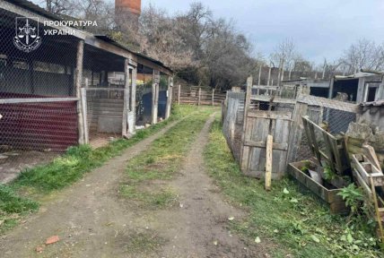 Леви втекли з зоопарку в Хмельницькому