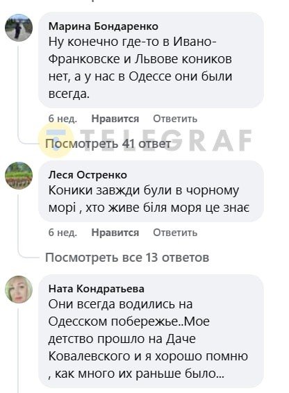 Коментарі під відео про морського коника біля берегу Одеси