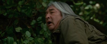 Грэм Грин в фильме "Сумерки"