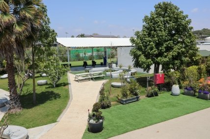 двор школы The King Solomon School