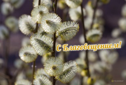 з благовіщенням вітання в картинках