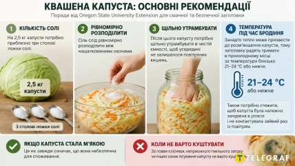 Инфографика о квашении капусты с миской нашинкованных овощей, банкой и термометром