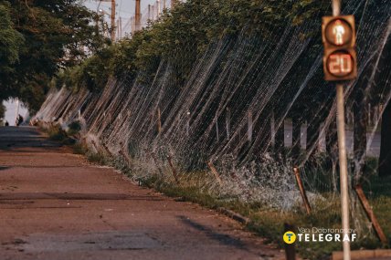 Дорога захищена антидроновою сіткою. Фото Ян Доброносов